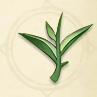 tos_緑茶
