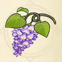 tos_花咲く藤