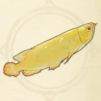 tos_ゴールデンアロワナ