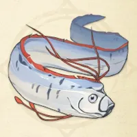 tos_リュウグウノツカイ
