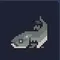 dt_草魚