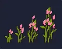 dt_野花