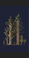 dt_木