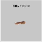 ba_sozai_たばこ葉