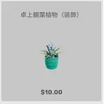 ba_kagu_卓上観葉植物装飾