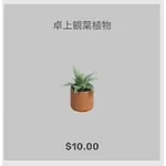 ba_kagu_卓上観葉植物
