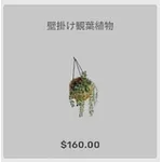 ba_kagu_壁掛け観葉植物