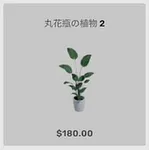 ba_kagu_丸花瓶の植物2