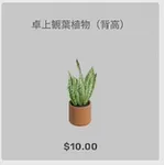 ba_kagu_卓上観葉植物背高
