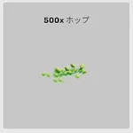 ba_sozai_ホップ