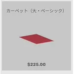 ba_kagu_カーペット大ベーシンク