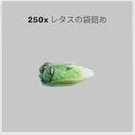 ba_sozai_レタスの袋詰め