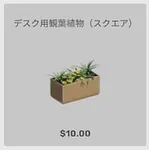 ba_kagu_デスク用観葉スクエア
