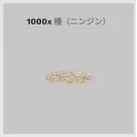 ba_sozai_種ニンジン