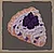 sog_itm156ブラックベリースコーン