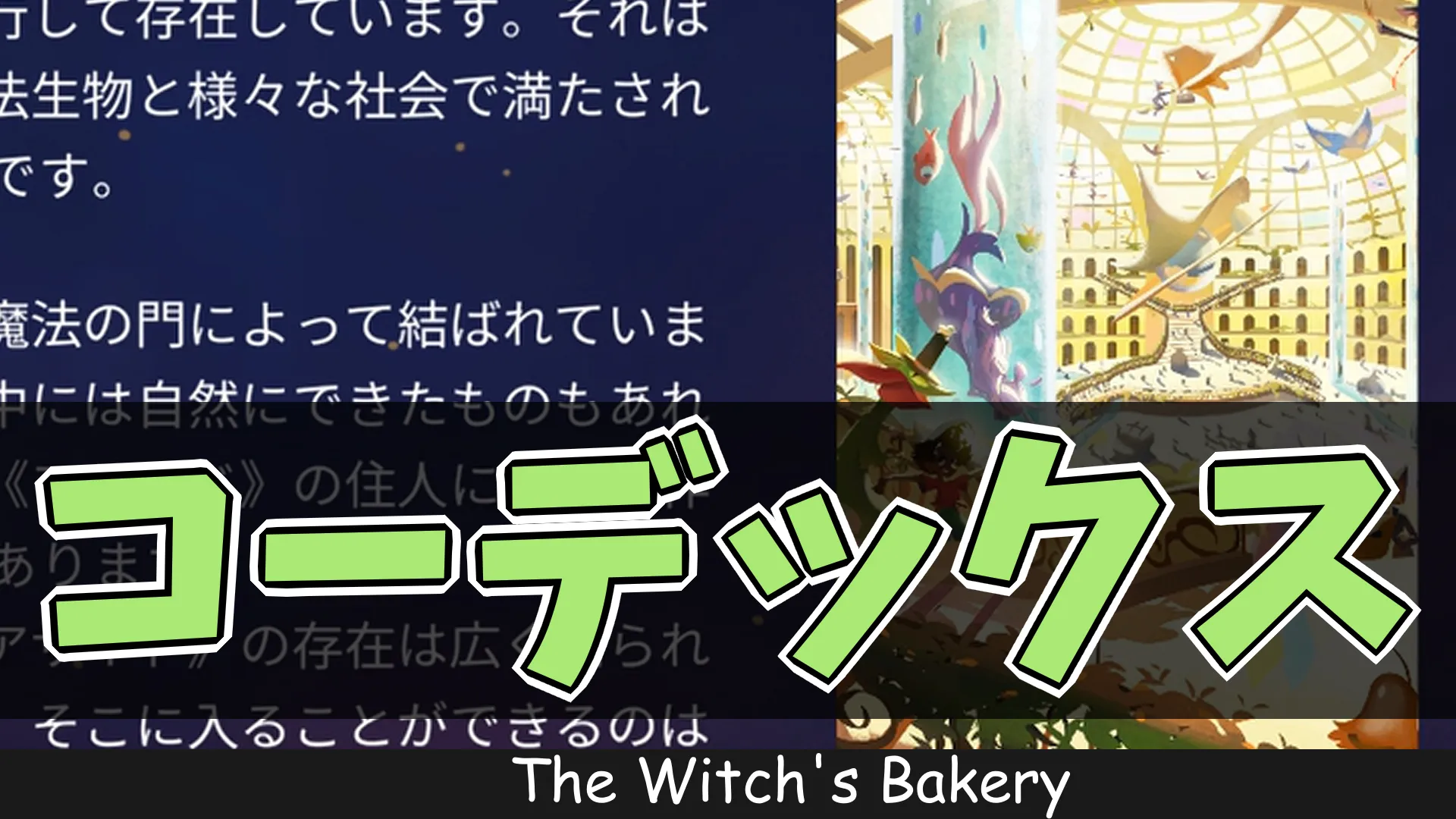 wb_コーデックス